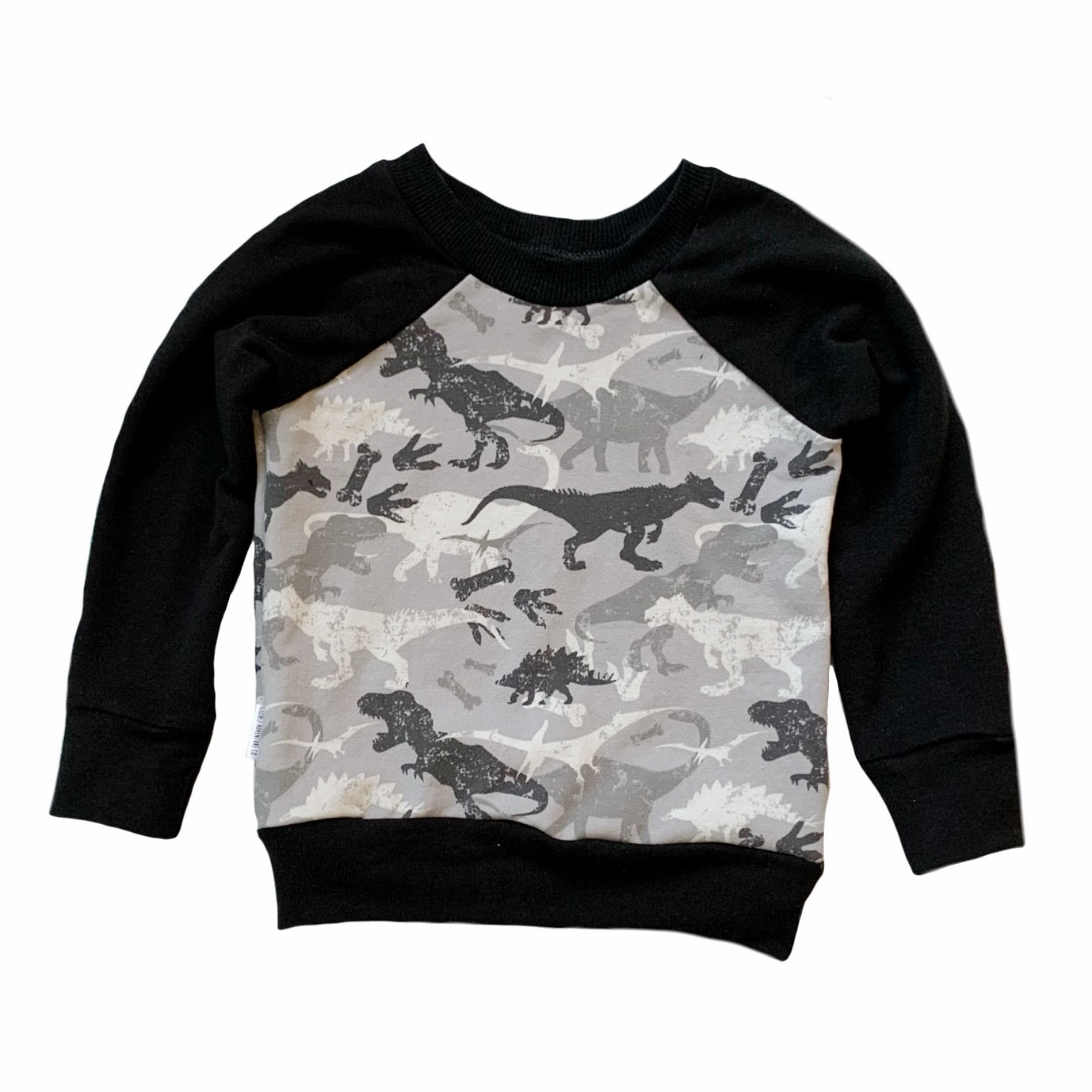 Dinosaur sweater